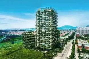 潮阳碧桂园爆料最新消息,揭秘项目进展与未来规划