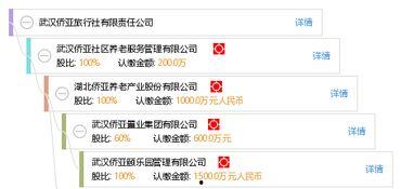 武汉侨亚最新爆料,揭秘背后惊人真相！