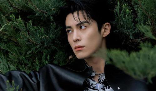 迪丽热巴王鹤棣最新爆料