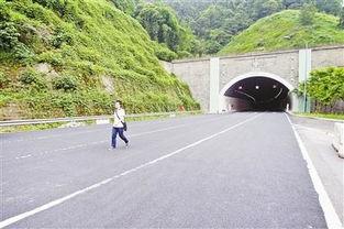 武山隧道爆料视频最新