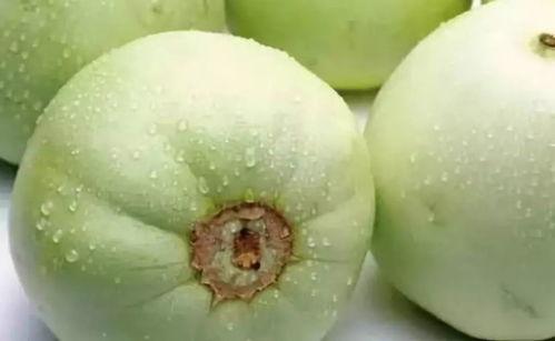 甜瓜最新大爆料视频,揭秘幕后真相，带你走进甜瓜世界