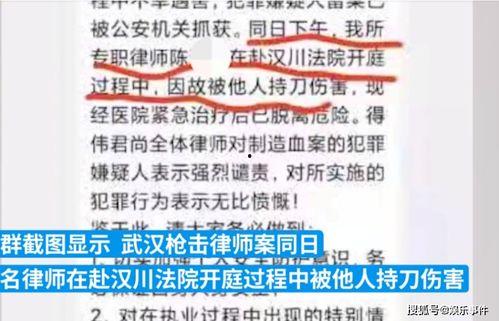 中国律师媒体爆料案例最新