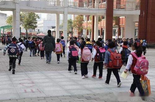 开封小学爆料案件最新,真相揭开，正义终将到来